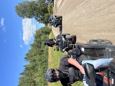 mediapicture